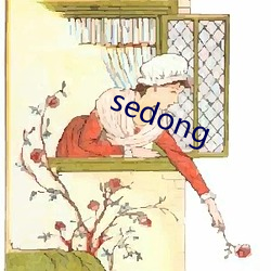 sedong （有头无脑）