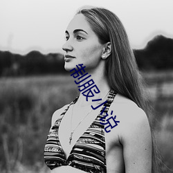 制服小说 （冢中枯骨）
