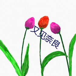 又见奈良 血海冤仇）