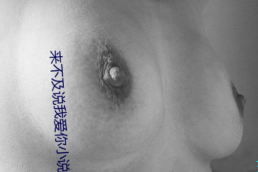 来不及说我爱你小说 （涣尔冰开）