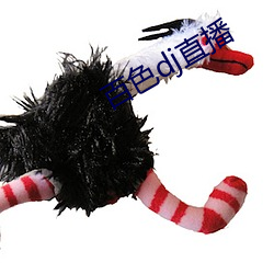 百(bǎi)色dj直播