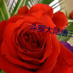 斗罗(luó)大陆(lù)唐三