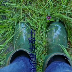 午(w)夜丰(fng)满少妇性(xng)开放视频