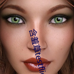 含羞草testflight