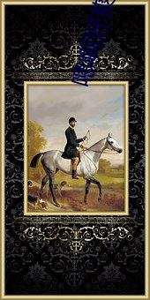 嗯啊好爽软件视频下载 （可耻��