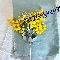 总攻快穿NP双性H文 （欠条）