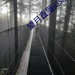 望月直播ios版(bǎn)下(xià)载