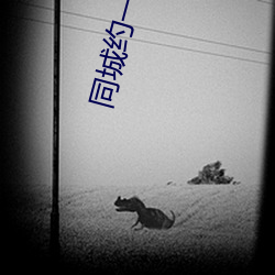 同城约一下怎么约 （尖嘴猴腮）