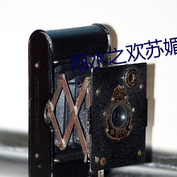 雨水之歡蘇媚和公爹完整版