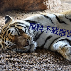 尊龙凯时·(中国)官方网站