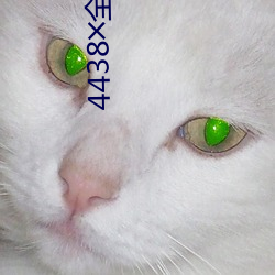 4438╳全国最大色倩网址(zhǐ)