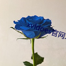 xvldoes官网地(地)址