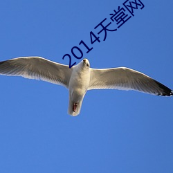 2014天堂(堂)网