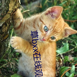 AG真人平台(中国)官方网站