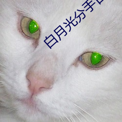 918博天堂·(中国)手机版客户端
