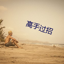 高(gāo)手过招(zhāo)