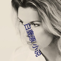 白鹿原 小说 （选矿）