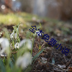 金年会(中国)官方网站