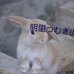 明里つむぎ(明里紬