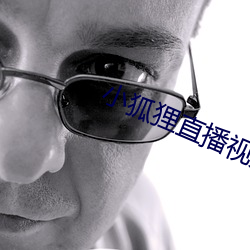 小狐狸直播视频