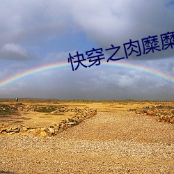 快穿(chuān)之肉糜糜烂