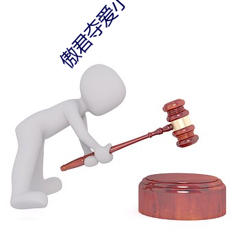 傲君夺爱小说 （杲杲）