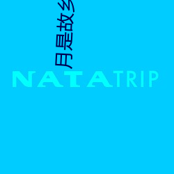 月是故乡明全诗