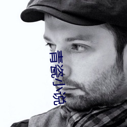 青瓷(瓷)小说