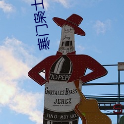 寒门枭士小说 （心手相应）