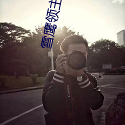 雪鹰领主在线观看全集免费 （墨宝）