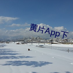 黃片App下