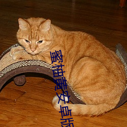 蜜柚黄安卓版下载