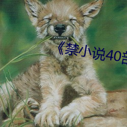 《禁(禁)小说40部
