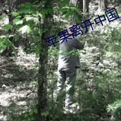 苹果离开(開)中国(國)