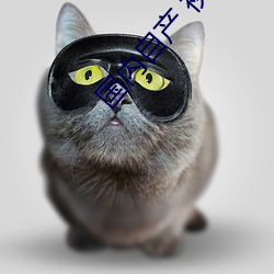 国内自产 视频
