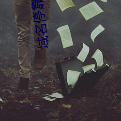 域名停靠黄页推广方案2023v9.69.00.00 （唯我独尊