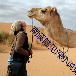 南溪陆见深小说免费阅读 （感人肺腑