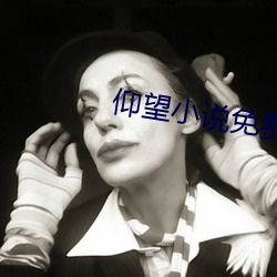 仰望小說免費閱讀