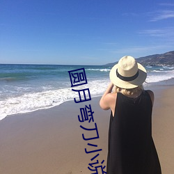 圆月弯刀小说