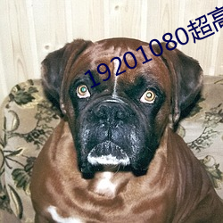19201080超高清桌面