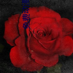 免费(費)动漫网站(站)