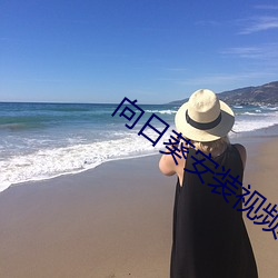 向日葵安装视频 （博古通今）