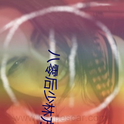 八零后少林方丈