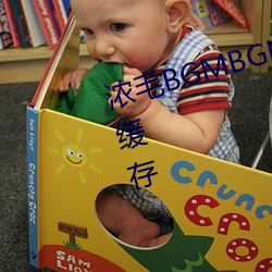 浓毛(máo)BGMBGMBGM胖老(lǎo)太太(tài)支持缓存