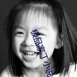 极品家丁小说(shuō)