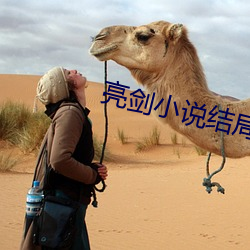 亮劍小說結局