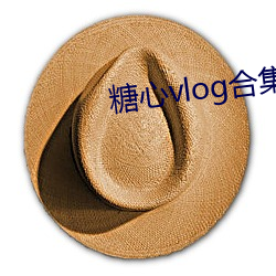 糖心vlog合集