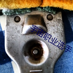 宇(宇)宙(宙)职业选手