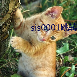 sis0001跳转 （闪烁其词）