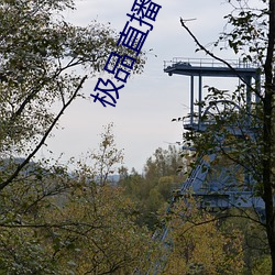 極品直播春雨